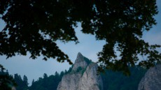 small_2_DSC7709 gotowe.jpg